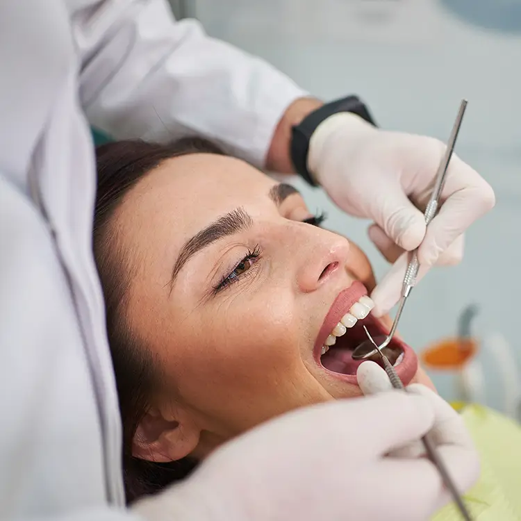 Initial Consultation and Assessment